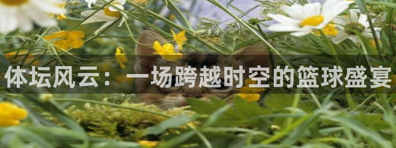 JJB竞技宝官网下载开户:体坛风云:一场跨越时空的篮球盛宴