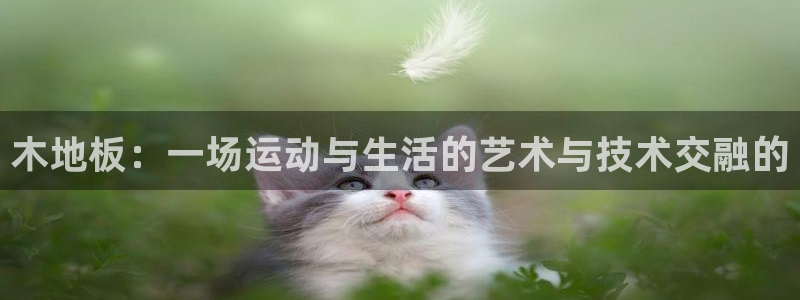 JJB竞技宝官方正版app新能源:木地板:一场运动与生活的艺