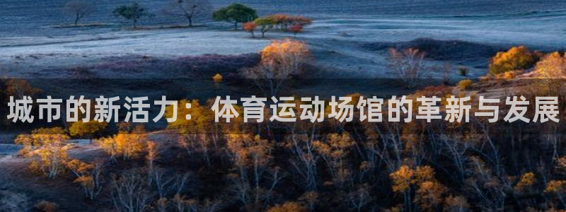 JJB竞技宝官网下载平台是正规平台吗知乎:城市的新活力:体育